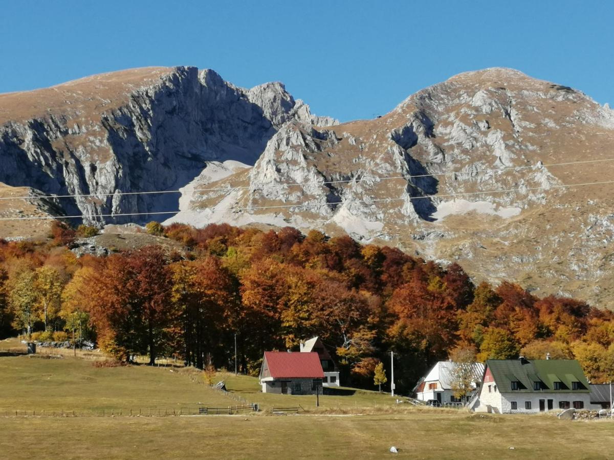 Mountain Village Жабляк Экстерьер фото