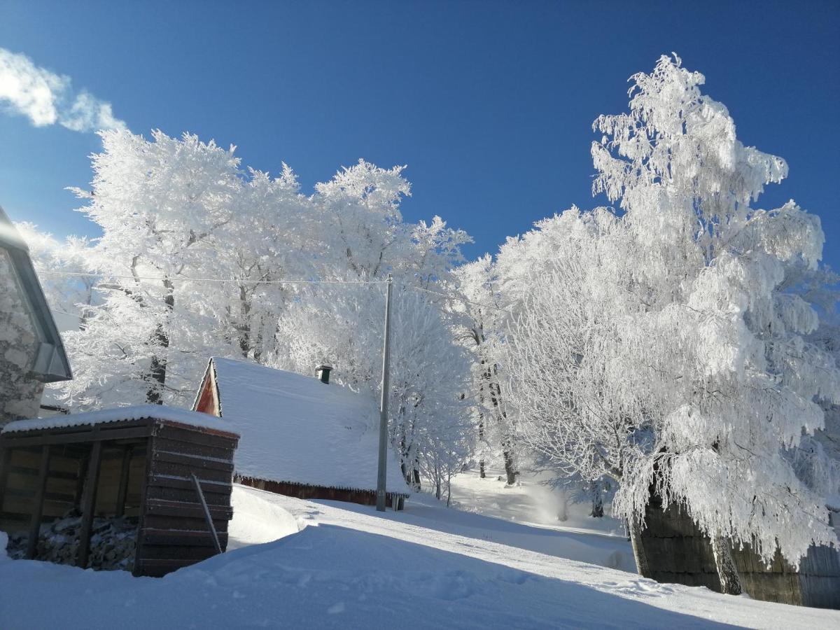 Mountain Village Жабляк Экстерьер фото