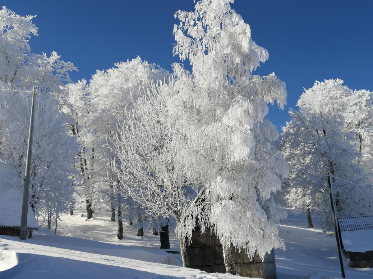 Mountain Village Жабляк Экстерьер фото